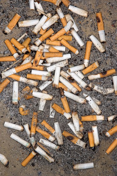 Cigarette butts