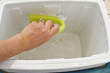 how to clean and deodorize a cooler