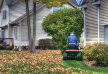 Why You Should Stop Raking Fall Leaves, Stat!