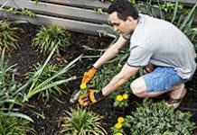 Gardening for Beginners: Tips for First-Timers